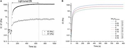 Functionalized Enzyme-Responsive Biomaterials to Model Tissue Stiffening in vitro